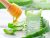 AloeVera
