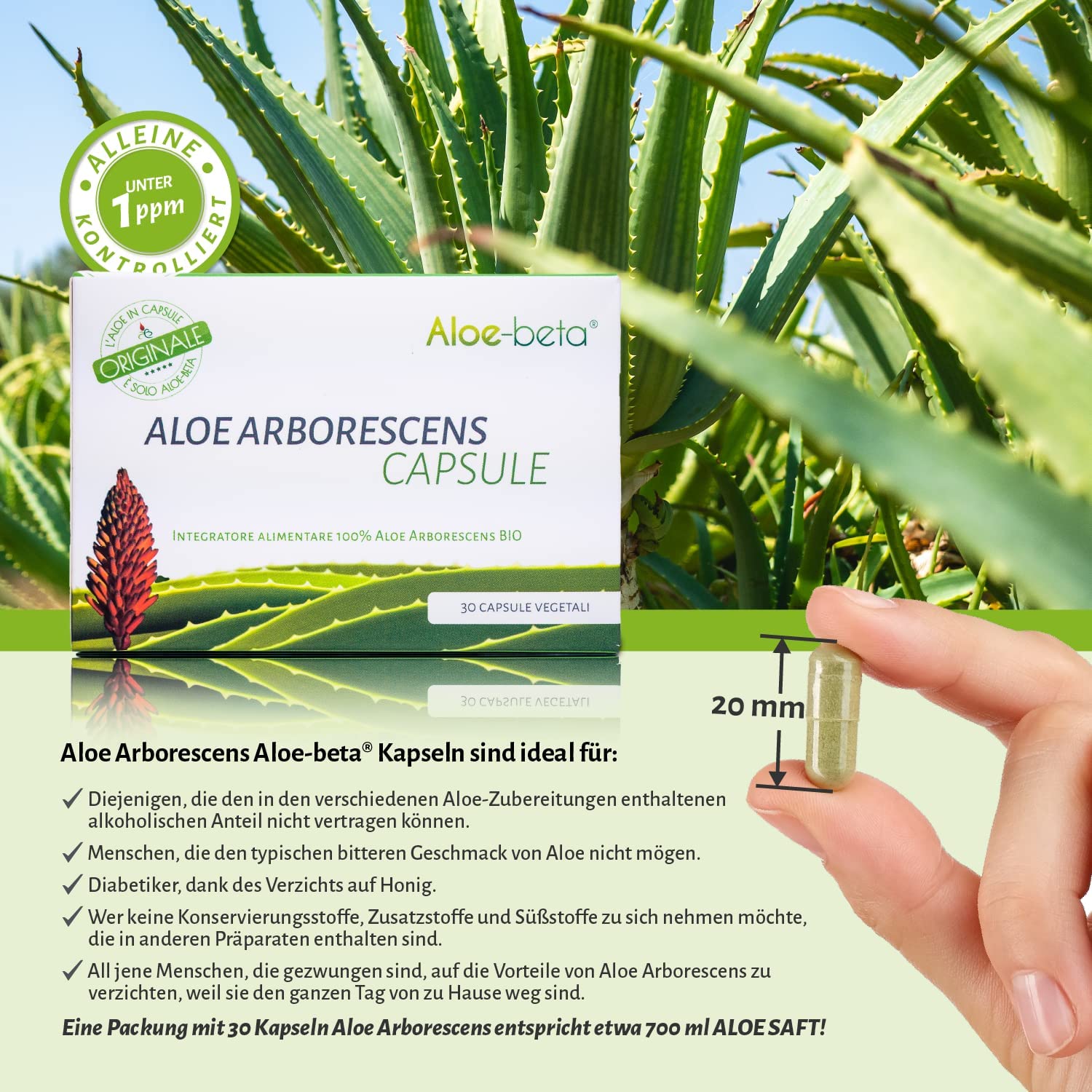 Aloe Arborescens Kapseln