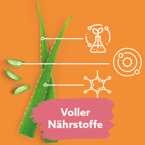 Aloe Vera Saft