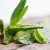 Aloe Vera Saft Direktsaft