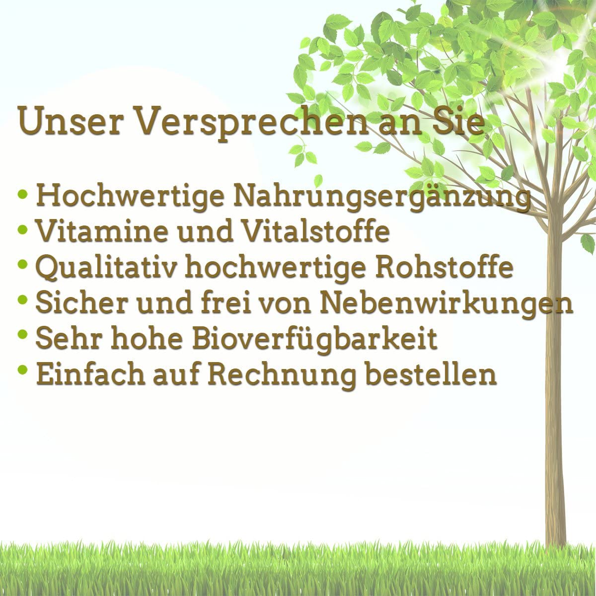 Bromelain 500 mg Enzyme