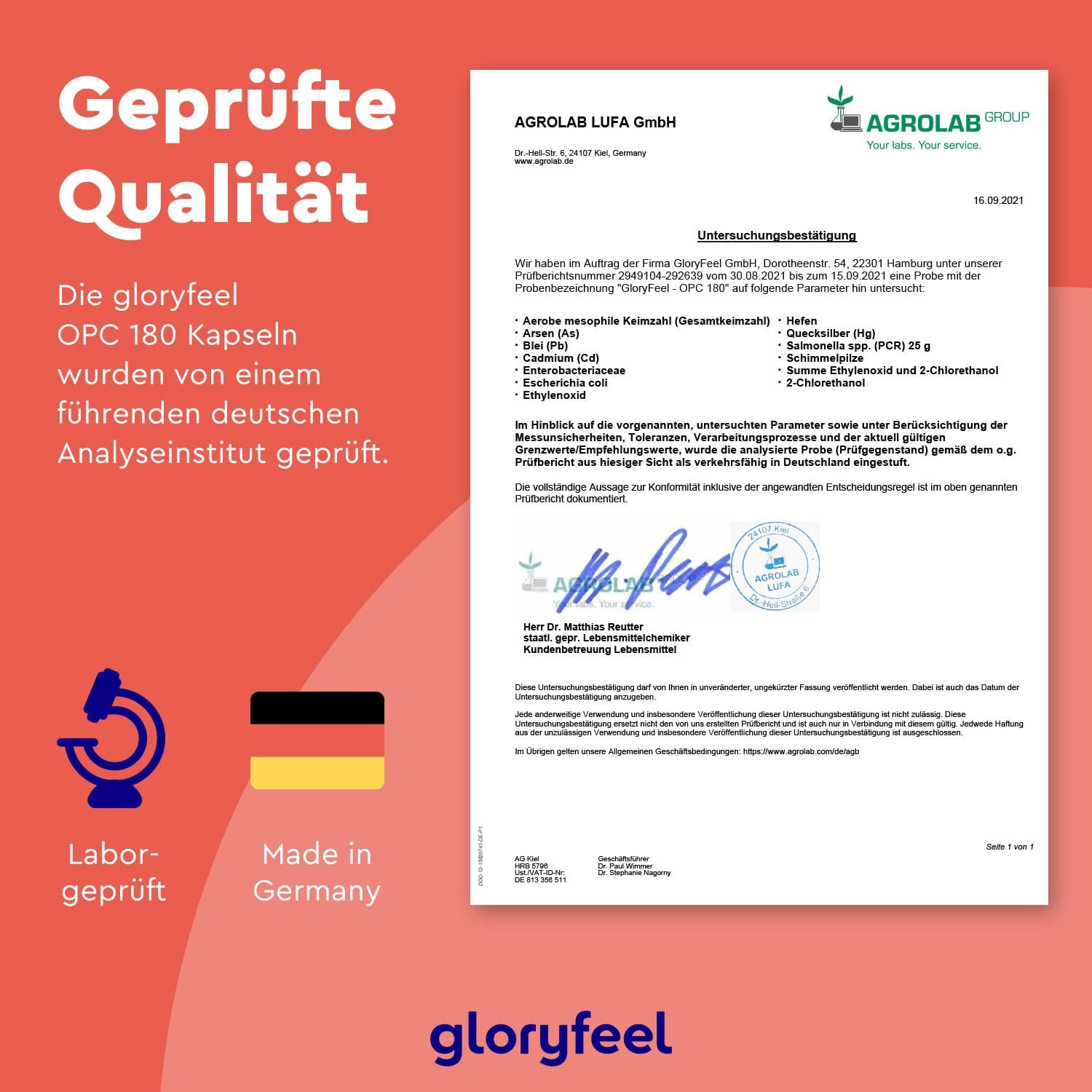 Traubenkernextrakt Kapseln