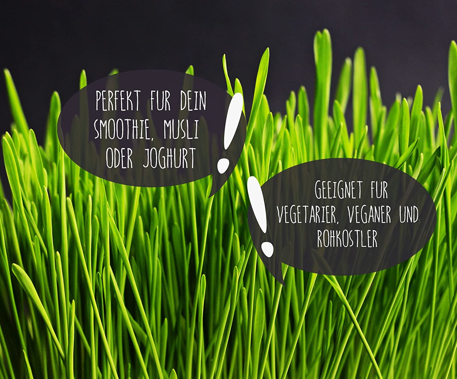 Weizengraspulver Bio